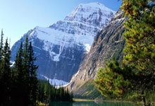 国足历届世预赛战绩如何？一路坎坷中有无高光时刻？