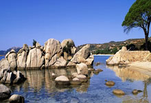 2020年有世界杯足球赛吗？赛程表是怎样的？